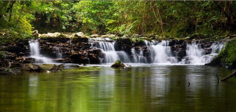 Bach Ma National Park 2D1N Private Trekking Tour from Da Nang